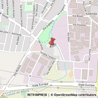 Mappa Strada Carpice, 22, 10024 Moncalieri, Torino (Piemonte)