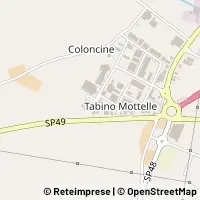 Map Pegognaga