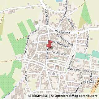 Mappa Via Roma, 63, 15045 Sale, Alessandria (Piemonte)