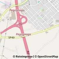 Hartă Pegognaga