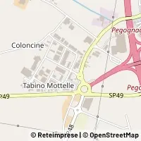 Map Pegognaga