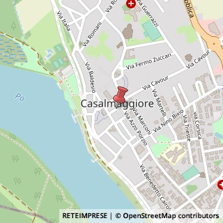Mappa Piazza garibaldi giuseppe 36, 26041 Casalmaggiore, Cremona (Lombardia)