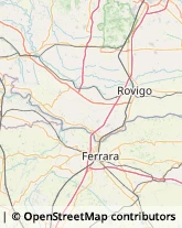 Trasporti Refrigerati Rovigo,45100Rovigo