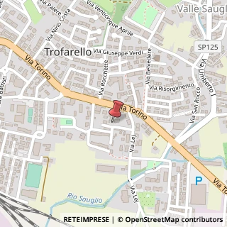 Mappa Via torino 244, 10028 Trofarello, Torino (Piemonte)