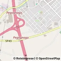 Map Pegognaga