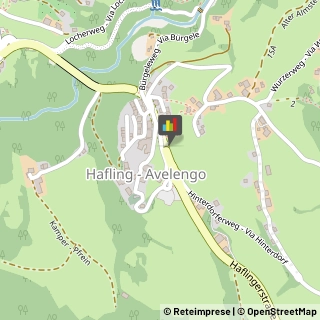 Autoveicoli Elettrici Avelengo,39010Bolzano