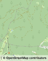 Autotrasporti Naturno,39025Bolzano