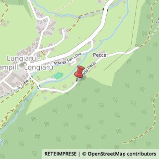 Mappa Frazione Longiar?,  161, 39030 San Martino in Badia, Bolzano (Trentino-Alto Adige)