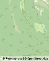 Autofficine e Centri Assistenza Lasa,39023Bolzano