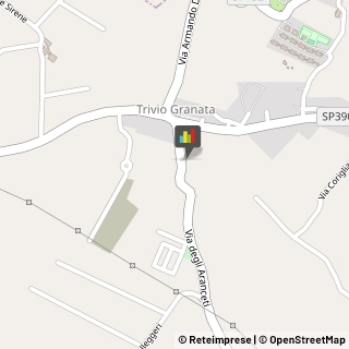 Feste - Organizzazione e Servizi,84098Salerno