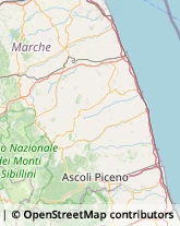 Oli Alimentari e Frantoi Montalto delle Marche,63068Ascoli Piceno