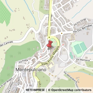 Mappa Via di Gracciano nel Corso, 98, 53045 Montepulciano, Siena (Toscana)
