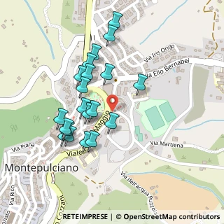 Mappa Via delle Lettere, 53045 Montepulciano SI, Italia (0.2265)
