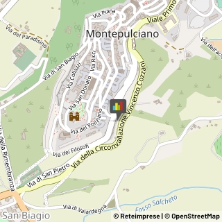 Assicurazioni Montepulciano,53045Siena