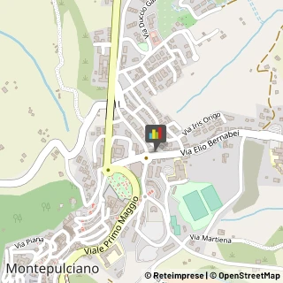 Locali, Birrerie e Pub Montepulciano,53045Siena