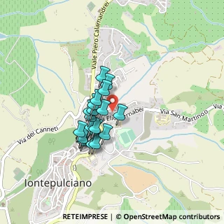 Mappa Via Elio Bernabei, 53045 Montepulciano SI, Italia (0.321)