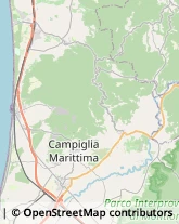 Profumerie Campiglia Marittima,57029Livorno