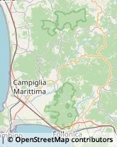 Vini e Spumanti - Produzione e Ingrosso Piombino,57025Livorno