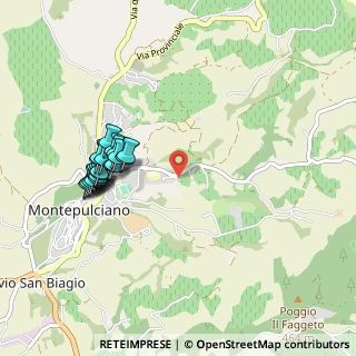 Mappa Via di San Martino, 53045 Montepulciano SI, Italia (0.985)