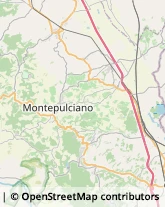 Aziende Agricole Montepulciano,53045Siena