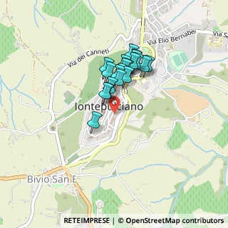 Mappa Via dell'Opio Nel Corso, 53045 Montepulciano SI, Italia (0.3265)