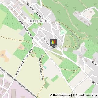 ,06132Perugia