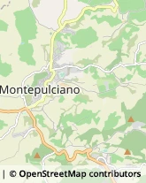 Agriturismi Montepulciano,53045Siena