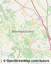 Agriturismi Montepulciano,53045Siena