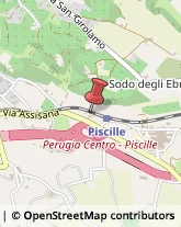 Via Assisana, 28,06100Perugia