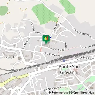 Traduttori ed Interpreti,06135Perugia