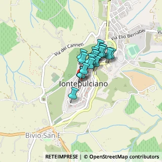 Mappa Vicolo del Leone, 53045 Montepulciano SI, Italia (0.2585)