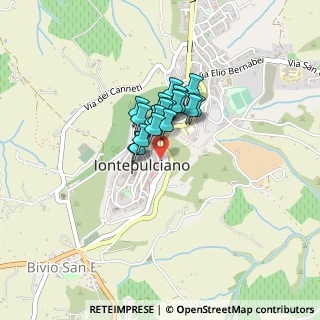 Mappa Via delle Case Nuove, 53045 Montepulciano SI, Italia (0.2485)