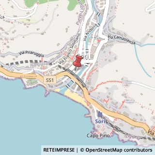 Mappa Via Sauli, 9, 16031 Sori, Genova (Liguria)