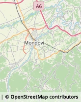 Tabaccherie Mondovì,12084Cuneo