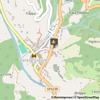 Macchine Agricole - Parti e Accessori Varese,19028Varese