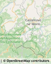 Autotrasporti Castelnovo Ne' Monti,42020Reggio nell'Emilia