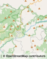 Autotrasporti Collagna,42030Reggio nell'Emilia