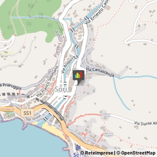 Naturopatia Sori,16031Genova