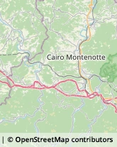 Autotrasporti Montezemolo,12070Cuneo