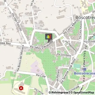 Commercialisti Boscotrecase,80042Napoli