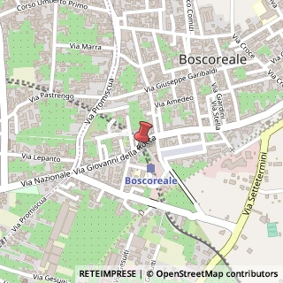 Mappa Via Nicola de Prisco, 15, 80041 Boscoreale, Napoli (Campania)