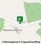 Strada Provinciale per Castellaneta, 1/D,70015Noci