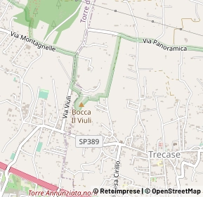 Mappa Via dante, 80040 Torre Annunziata NA, Italia (0.45385)