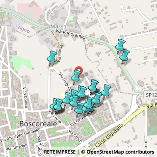 Mappa Prolungamento Via Luigi Oliva, 80041 Boscoreale NA, Italia (0.24)