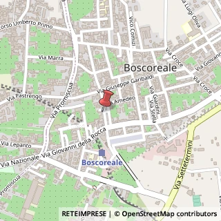 Mappa Via Vittorio Emanuele, 102, 80041 Boscoreale, Napoli (Campania)