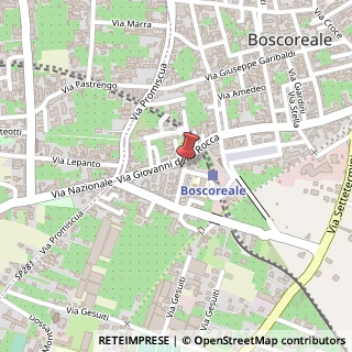 Mappa Via Nicola de Prisco, 12, 80041 Boscoreale, Napoli (Campania)