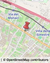 Via Nazionale, 510,80059Torre del Greco