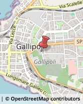 Via Alessandro Manzoni, 17,73014Gallipoli