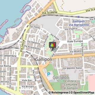 Palestre e Centri Fitness,73014Lecce