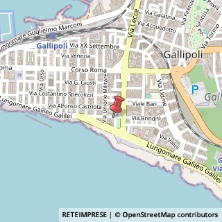 Mappa Piazza Falcone e Borsellino, n° 2, 73014 Gallipoli, Lecce (Puglia)